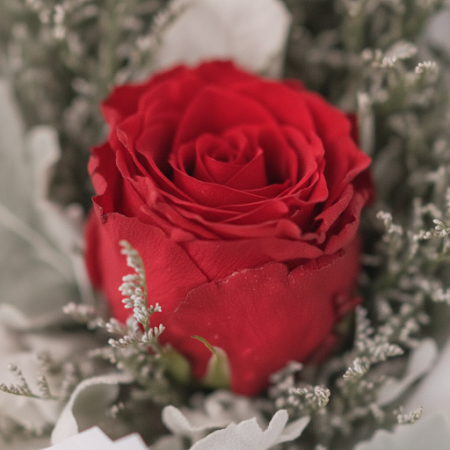 copy of 1rose flowers - 4 1-Rose Flowers pour la Saint-Valentin | Achetez maintenantSurprenez votre être cher ce jour de la Sain