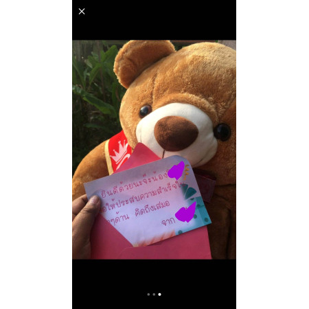  Brown Teddy Bear with Cute Congratulation Sash – Perfect Gift Teddy Bear - Foto 1