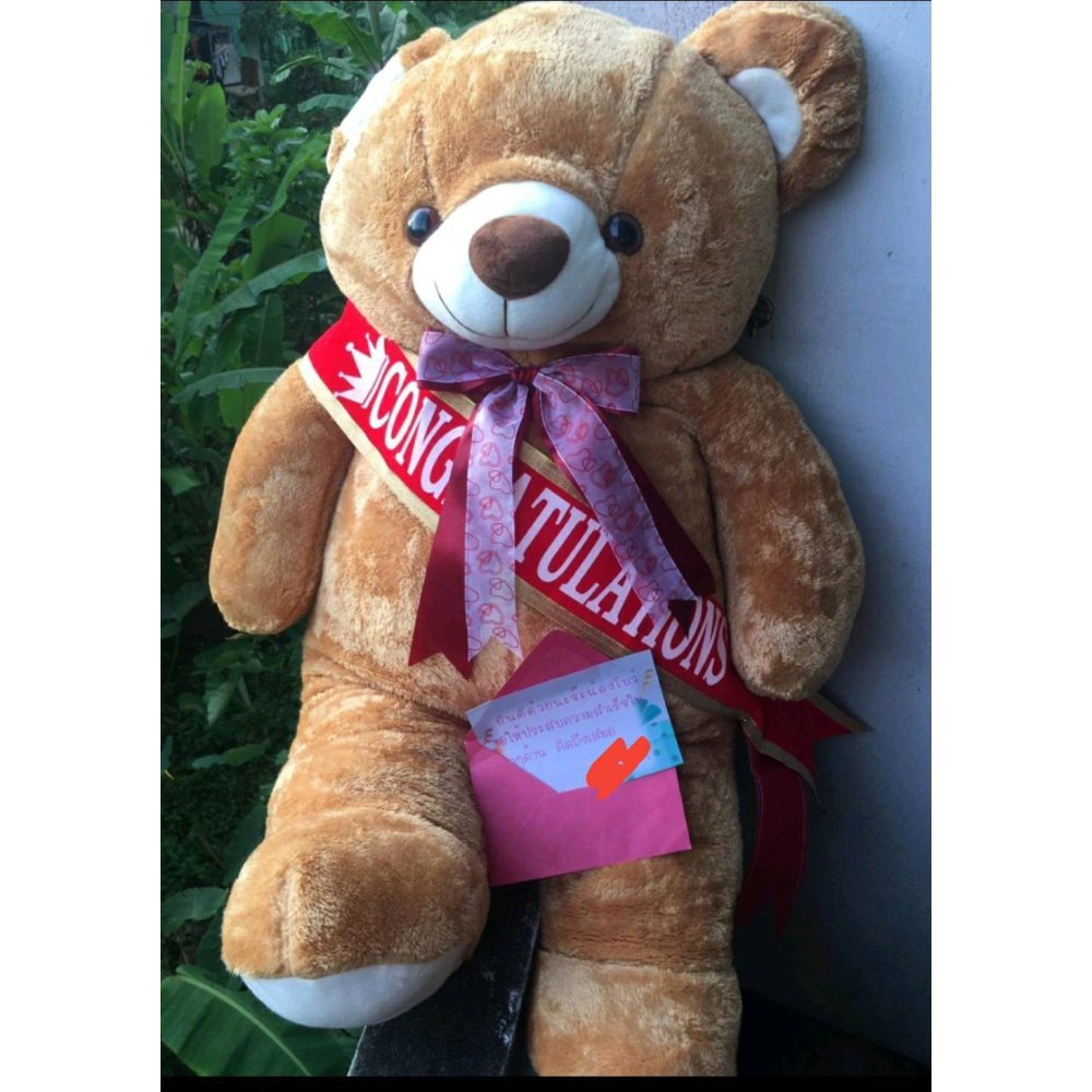 Giant brown bear congratulations gift