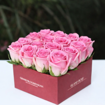 ROSE IN BOX 02 - 2 : Caixa de Regalo de Rosa Elegante | Compra AgoraEleva a túa oferta con ROSE IN BOX 02. Unha impresionante di