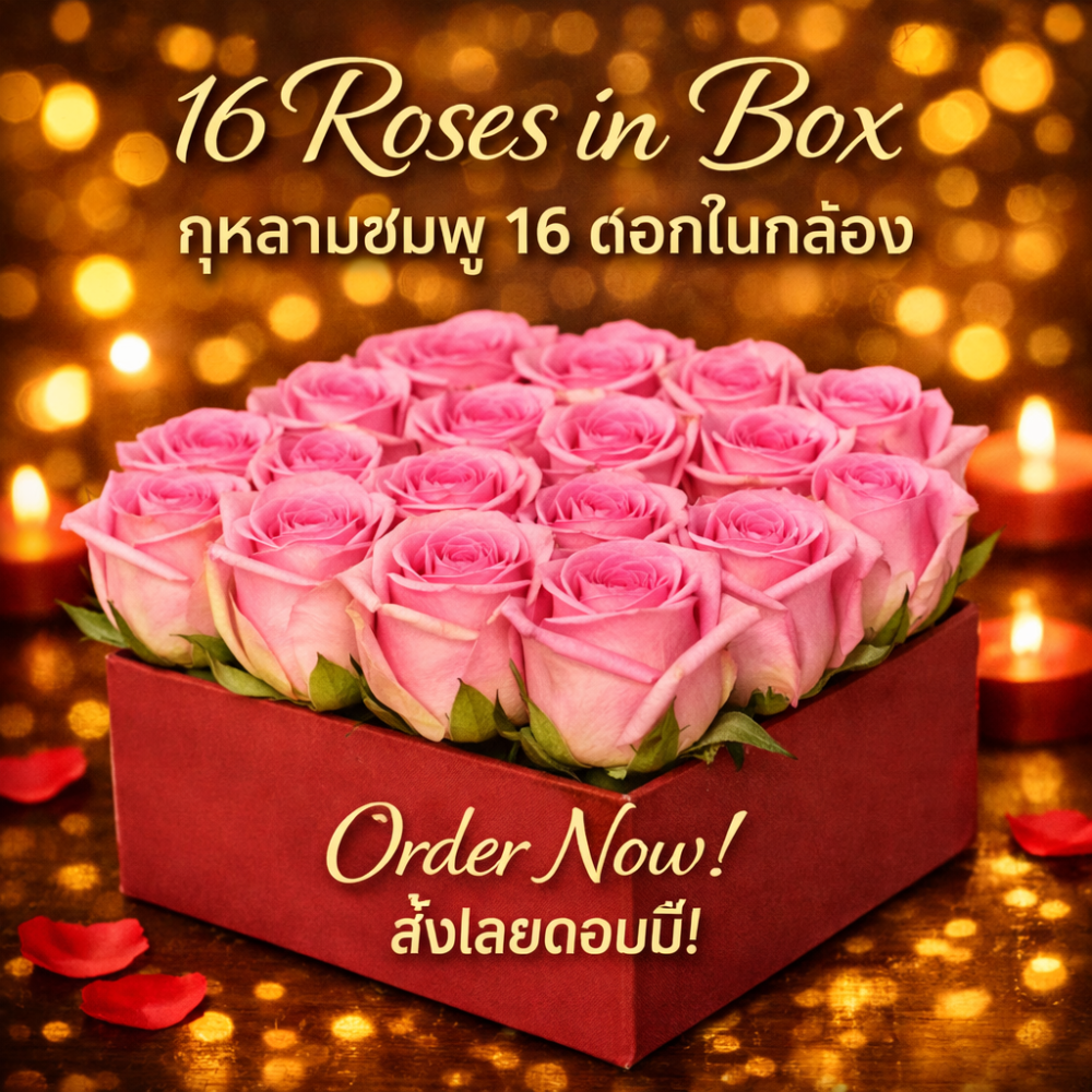 Pink roses in red box