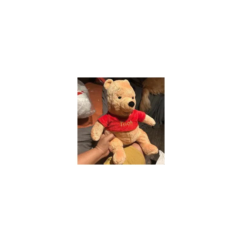 30 cm Winnie the Pooh Plush Toy - 1 