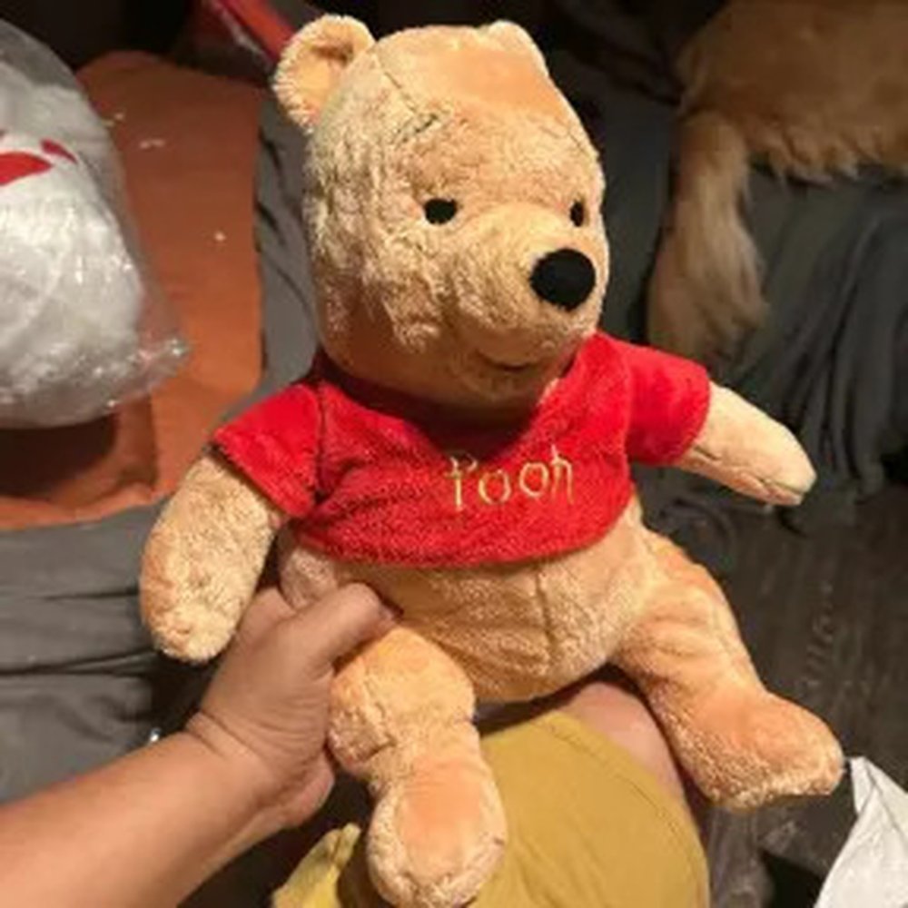 Winnie the Pooh plush doll