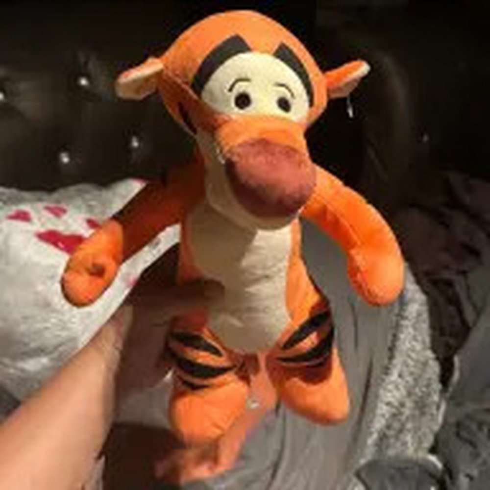 Orange Tigger Plush Toy