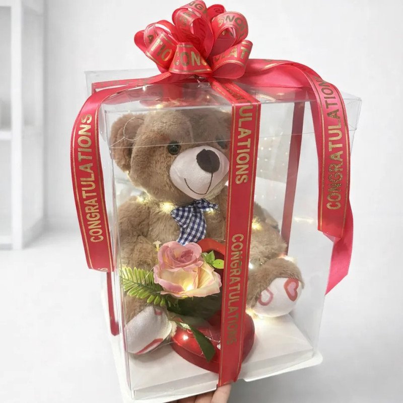 Romantic Teddy Bear and Necklace Set - 1 