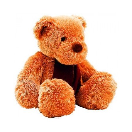 Teddy Bear 40cm – Cute Plush Gift in Pattaya Teddy Bear 40cm – Cute Plush Gift in Pattaya