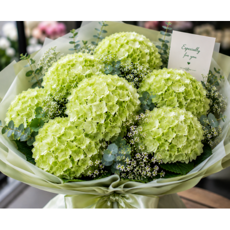  Green Hydrangea Bouquet - Next-Day Flower Delivery Pattaya (6 Large Blooms) Bouquet of Flowers - Foto 1