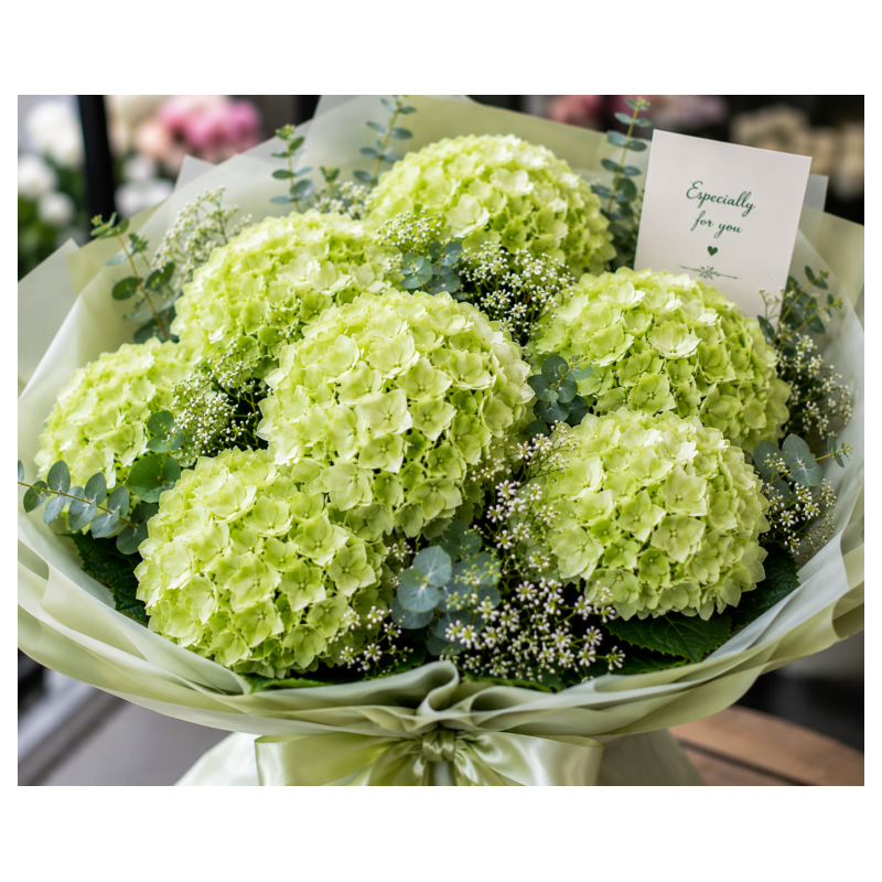  Green Hydrangea Bouquet - Next-Day Flower Delivery Pattaya (6 Large Blooms) Bouquet of Flowers - Foto 1