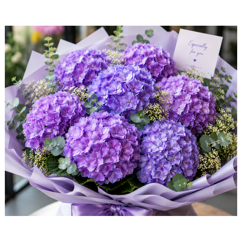  Purple Hydrangea Bouquet - Next-Day Flower Delivery Pattaya (7 Large Blooms) Bouquet of Flowers - Foto 1