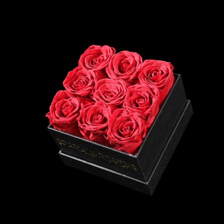 Nove rosas vermellas conservadas caixa negra