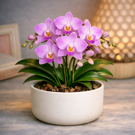 Purple artificial orchid white pot