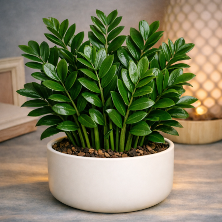 Artificial ZZ plant white pot