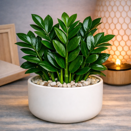 Artificial ZZ plant white pot