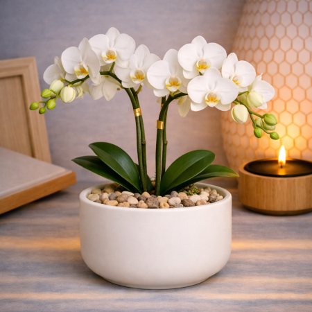White artificial orchids in planter