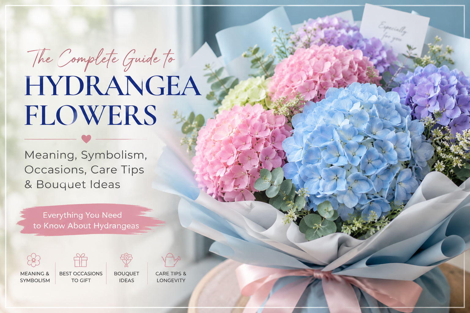 Hydrangea Flower (ดอกไฮเดรนเยีย): Meaning, Colors, Care & Gift Guide in Thailand