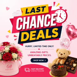 Last Chance Deals | Final Discounts