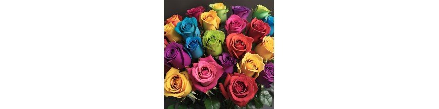 Blooming Romance: Express Love with Stunning Roses Flower Gifts