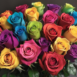 Blooming Romance: Express Love with Stunning Roses Flower Gifts